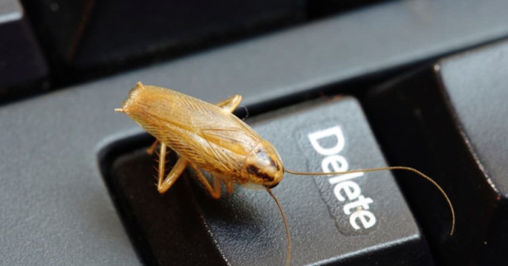 Уничтожение тараканов в офисе в Пензе